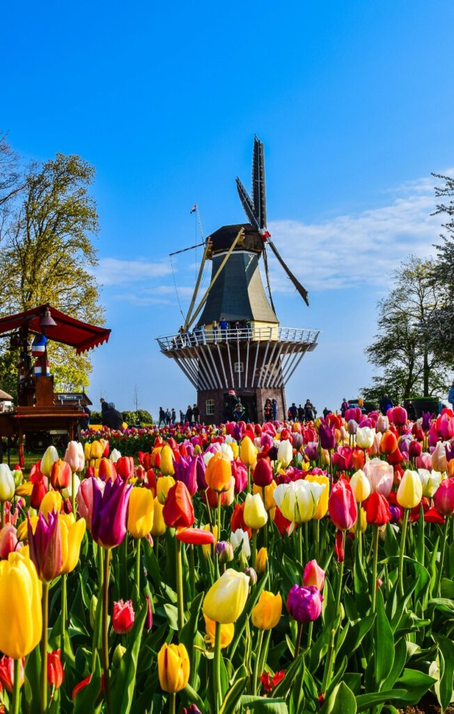keukenhof